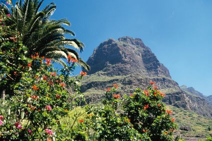 4. Bild der Unterkunft