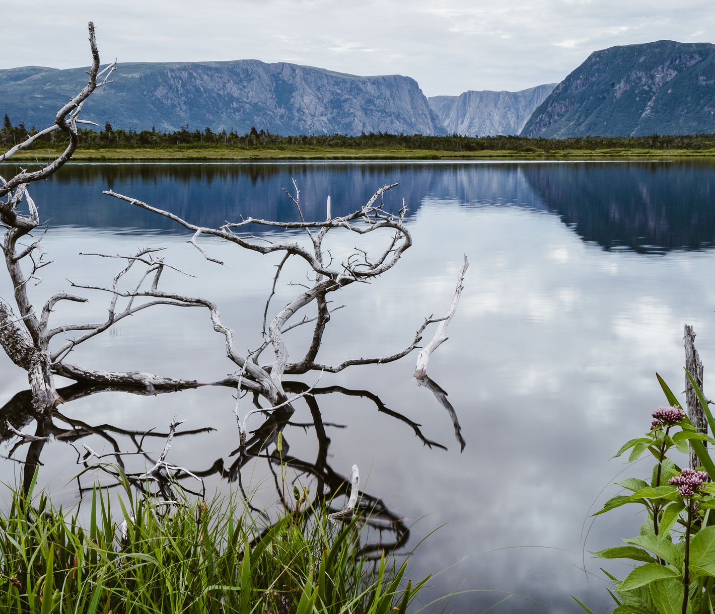 Mystische Fjordlandschaft im Gros Morne Nationalpark