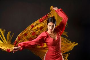 Flamenco-Show in Granada, ein eindrucksvolles Erlebnis mit leidenschaftlichem Tanz und Musik, das die Kultur Andalusiens widerspiegelt.