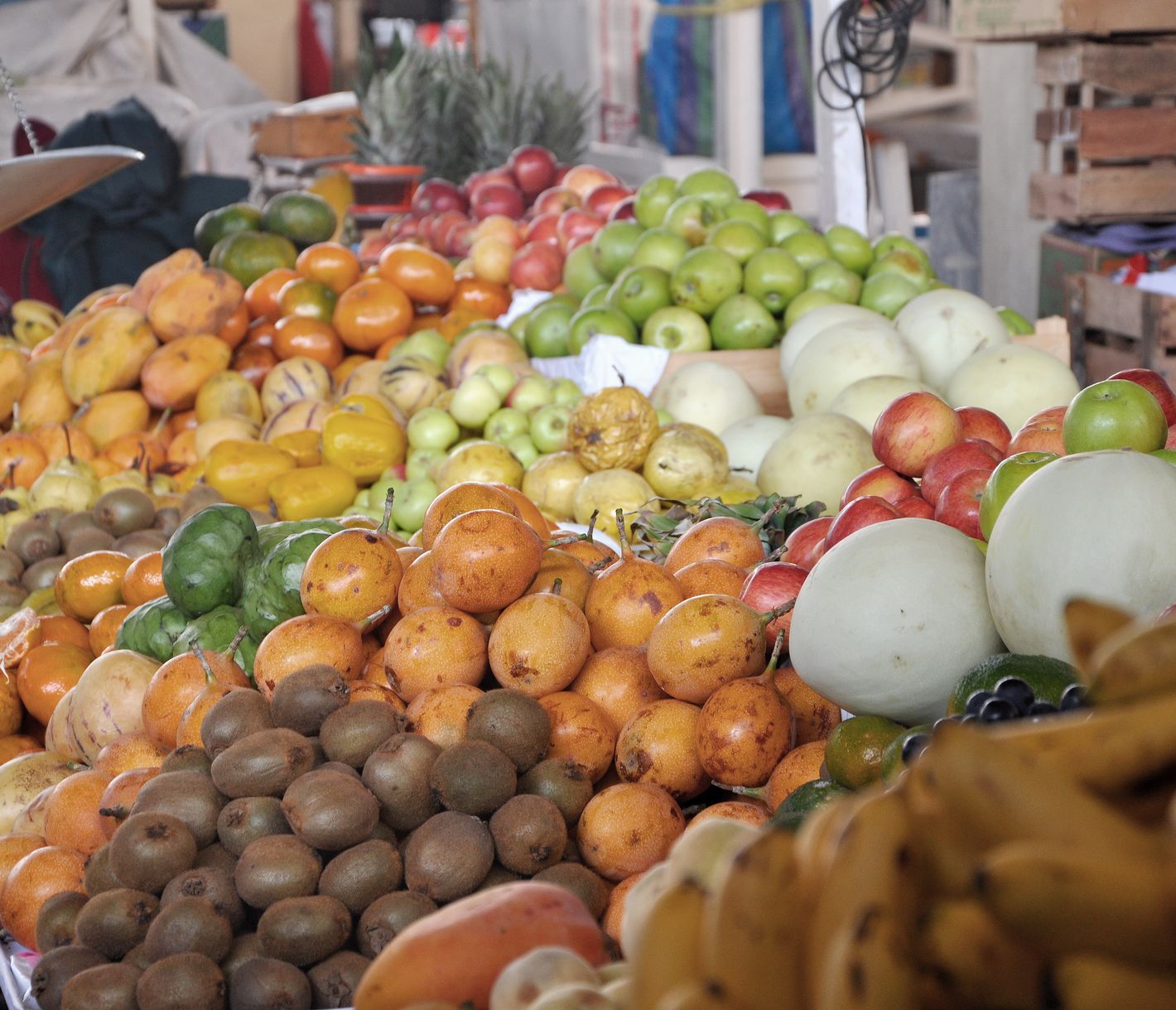 Exotische Früchte soweit das Auge reicht