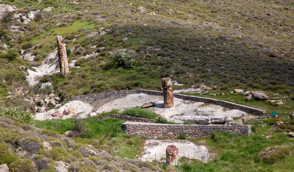 Versteinerter Wald, Lesbos