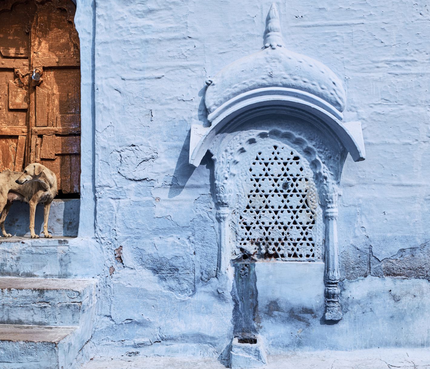 Die «Blaue Stadt» Jodhpur mit ihren bemalten Häusern