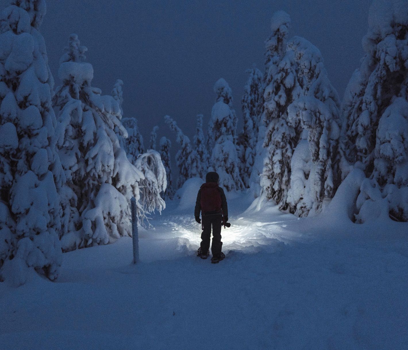 Mit Schneeschuhen unter dem Sternenhimmel unterwegs
