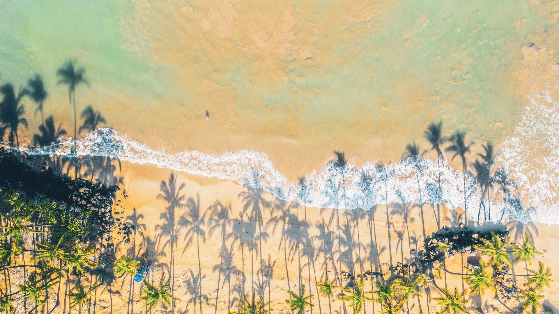 Les plages de sable blanc, noir et vert font partie du paysage d’Hawaï.