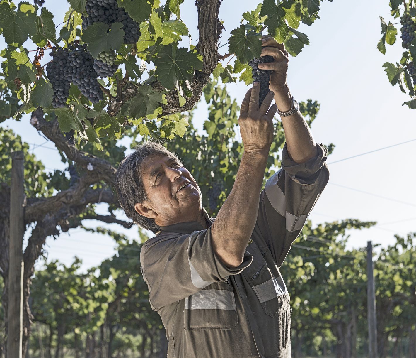 «Das ist aber ein gutes Tröpfchen!»
