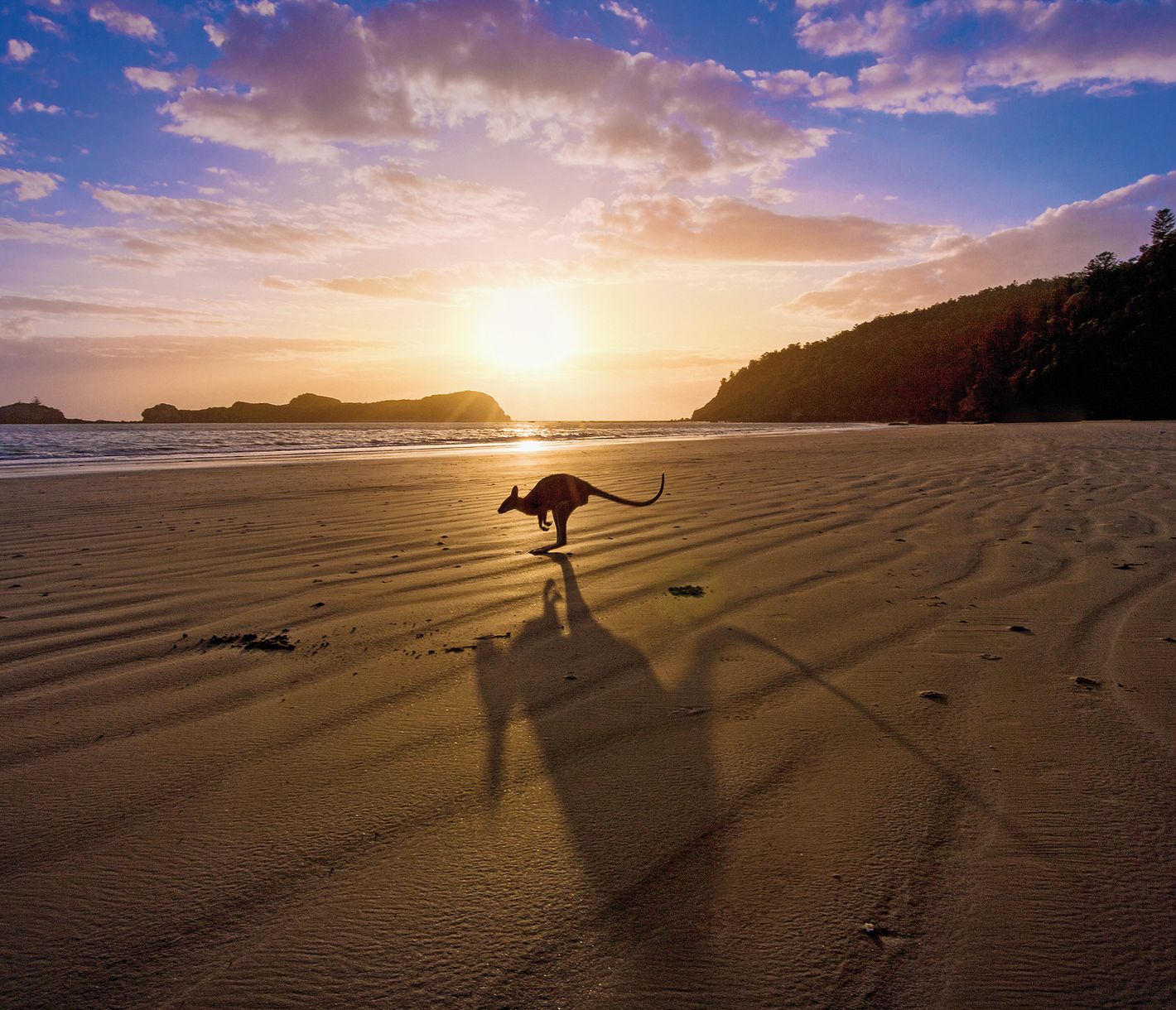 Cape Hillsborough National Park