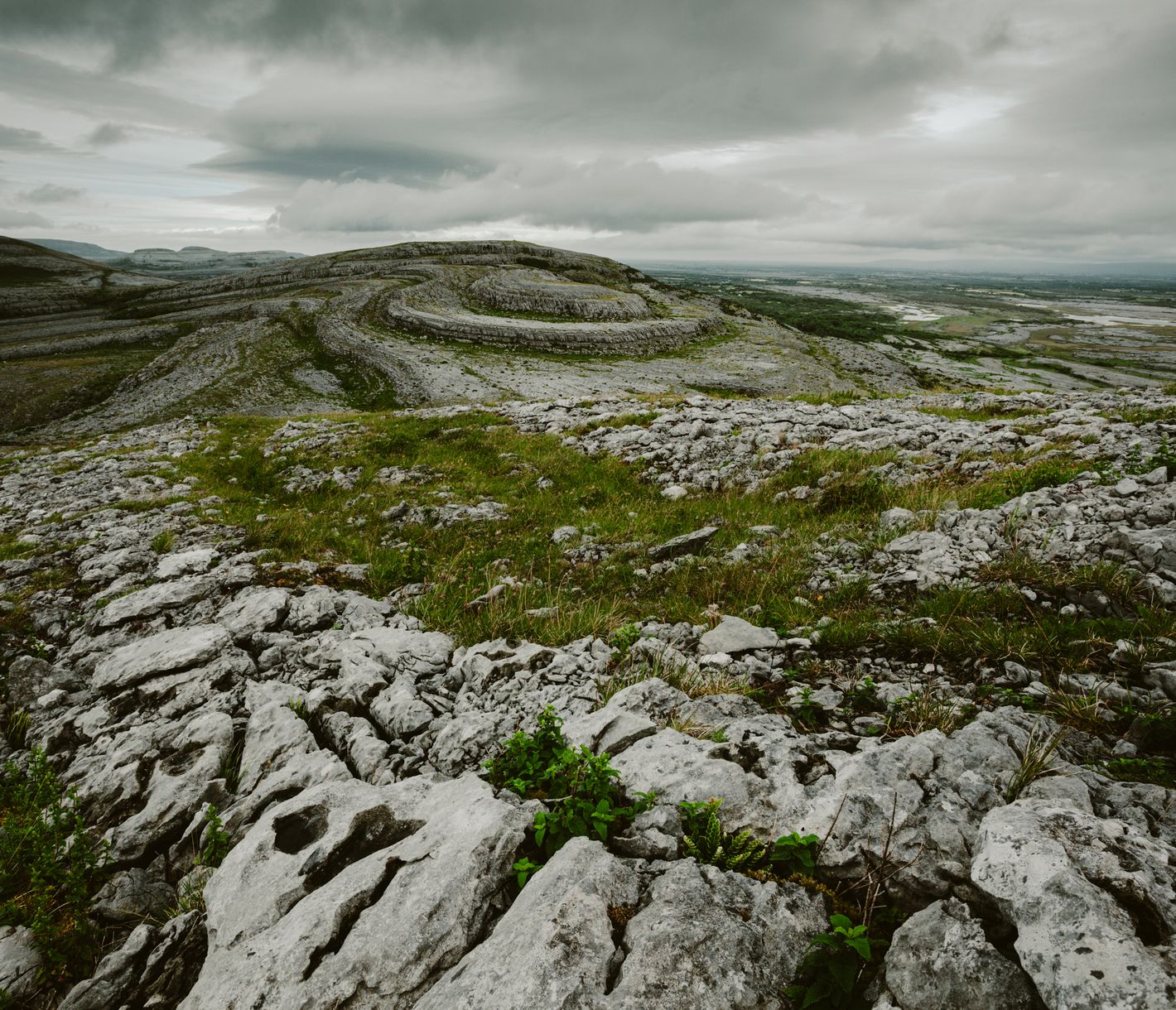 Mondlandschaft oder Mini-Biotop?
