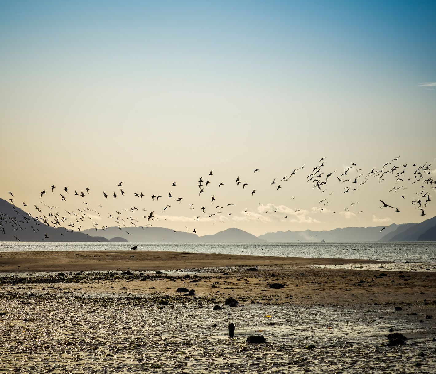 Ausgangspunkt: Gustavus