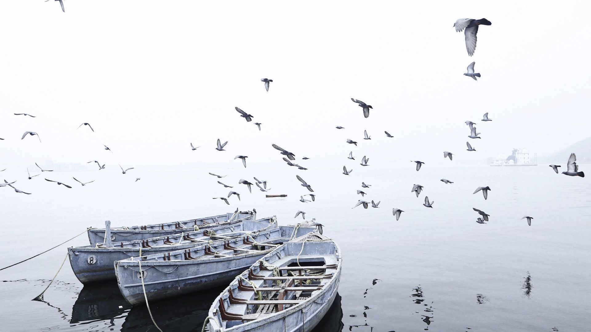 Boote im Fateh-Sagar-See bei Udaipur