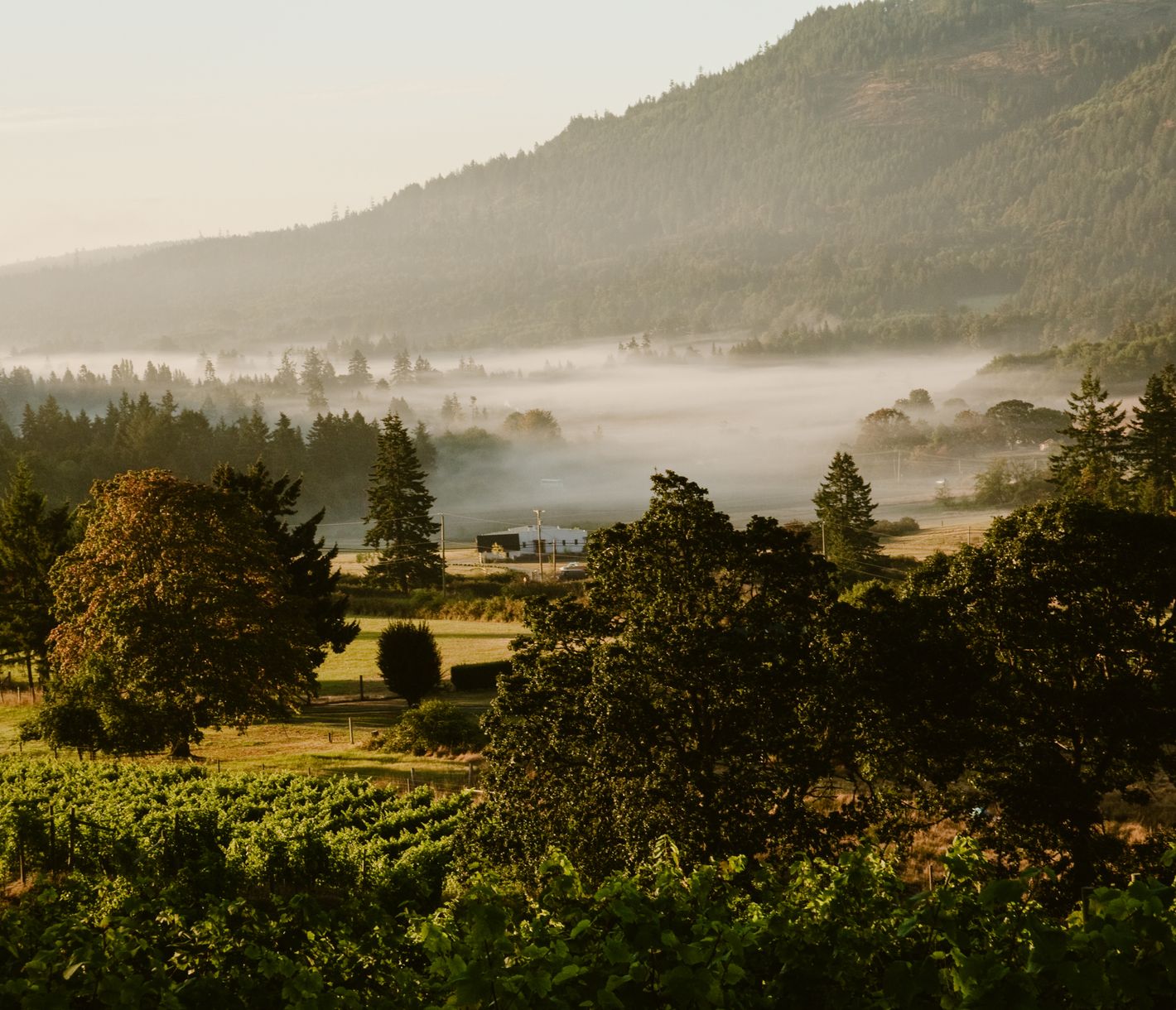 Die perfekte Insel für Wein- und Cidreliebhabende