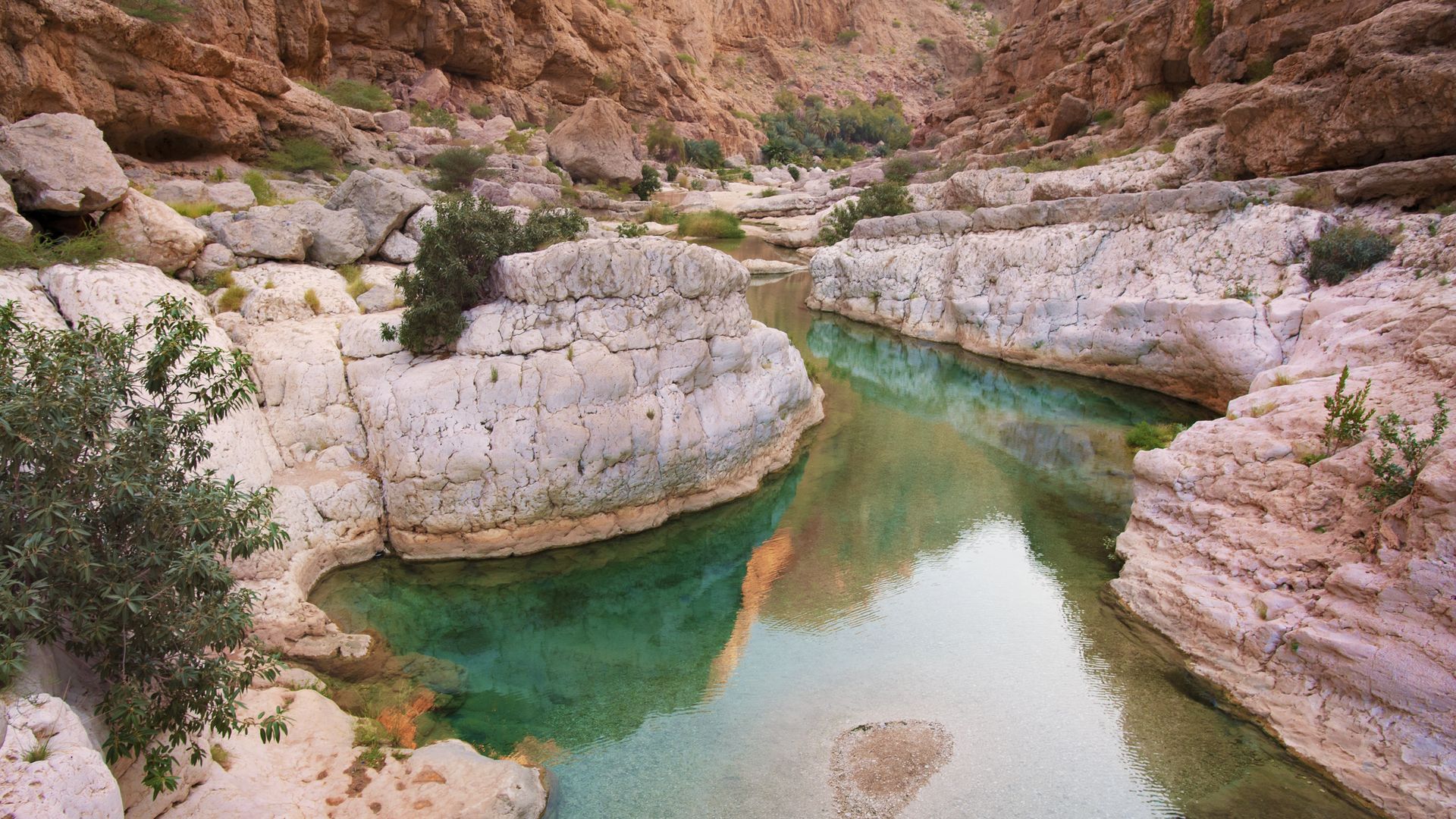 Le Wadi Bani Khaled dans ses plus beaux atours