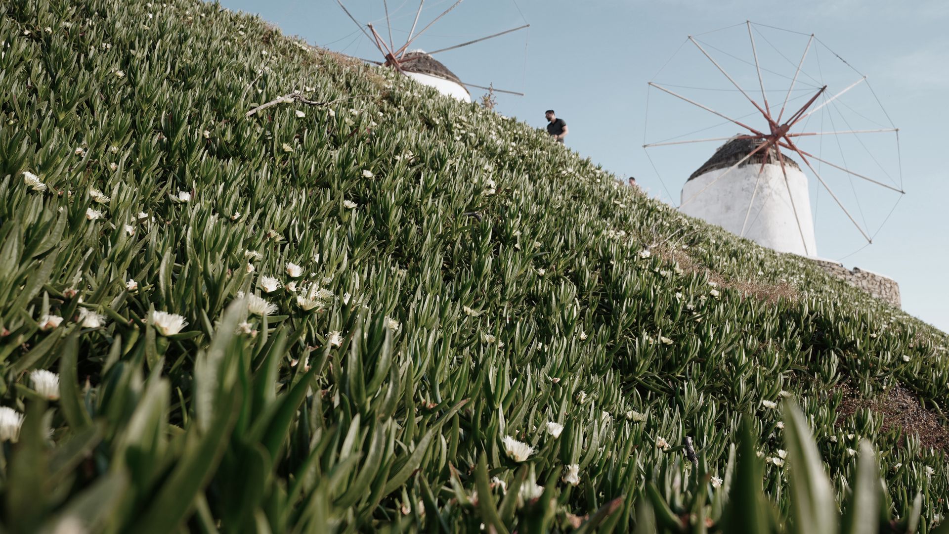 Die ikonischen Windmühlen von Mykonos