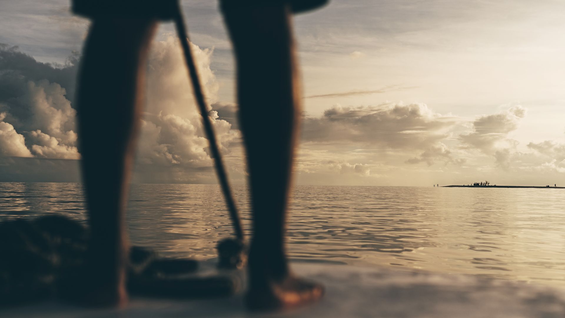 Was bringt die Zukunft?