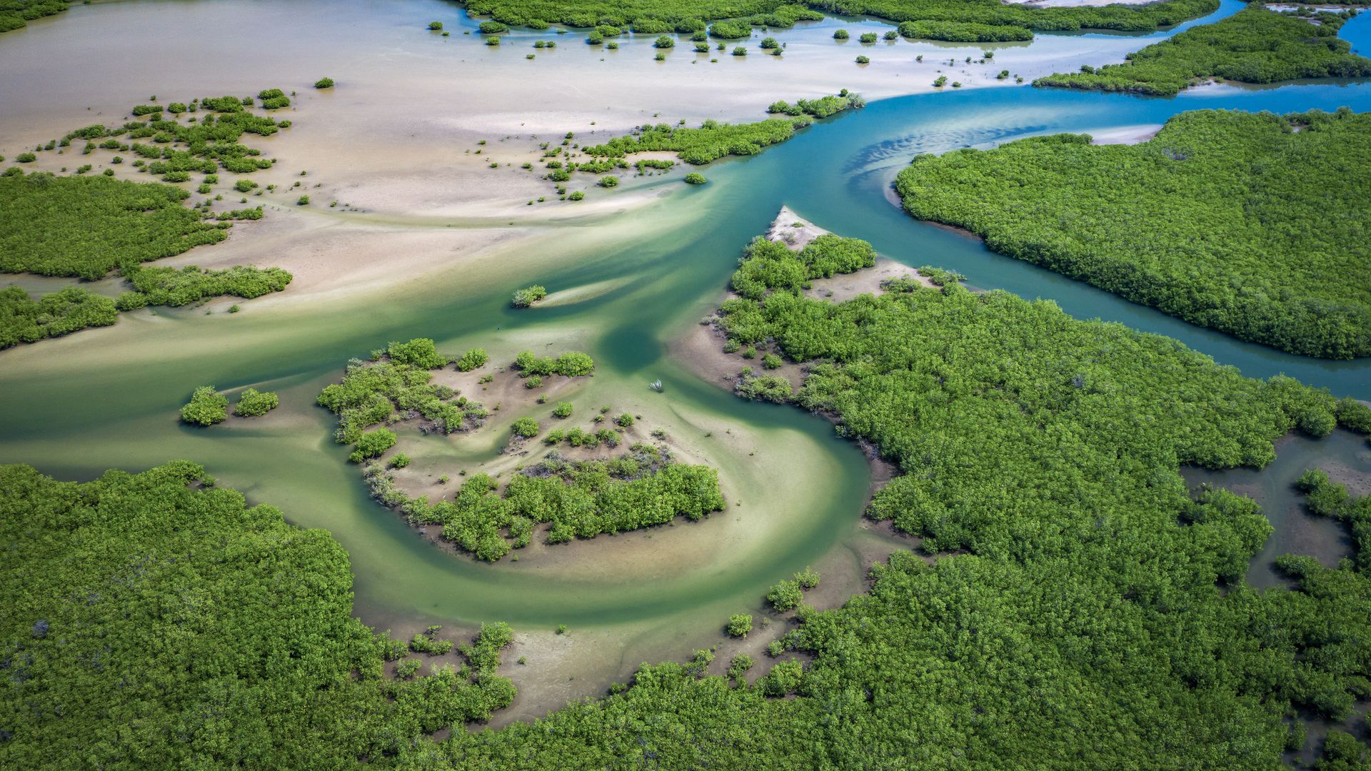 Die Mangrovenwälder des verzweigten Saloum-Deltas aus der Luft