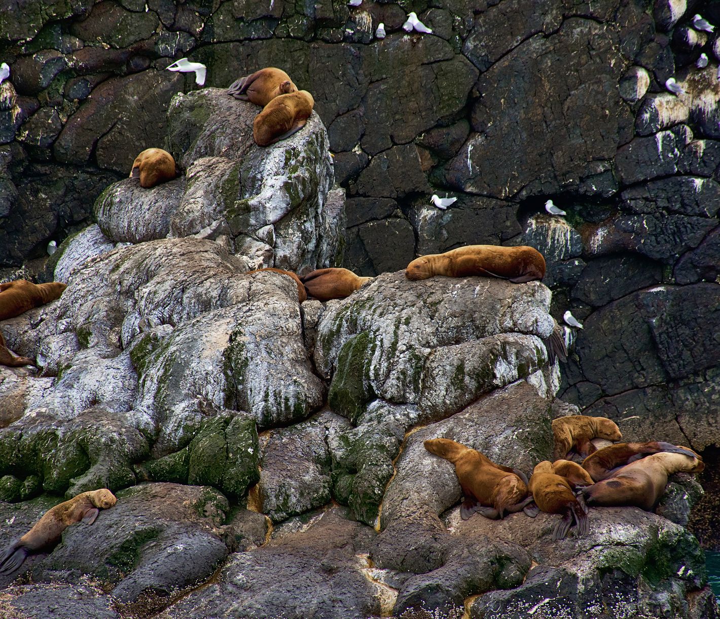 Von Weitem sind es nur einzelne farbige Punkt.