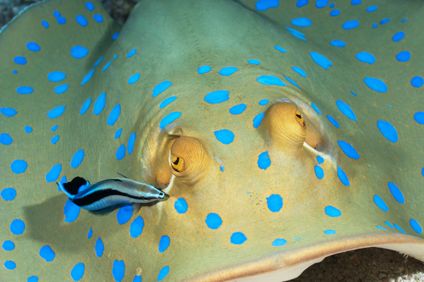 18. Bild der Rundreise