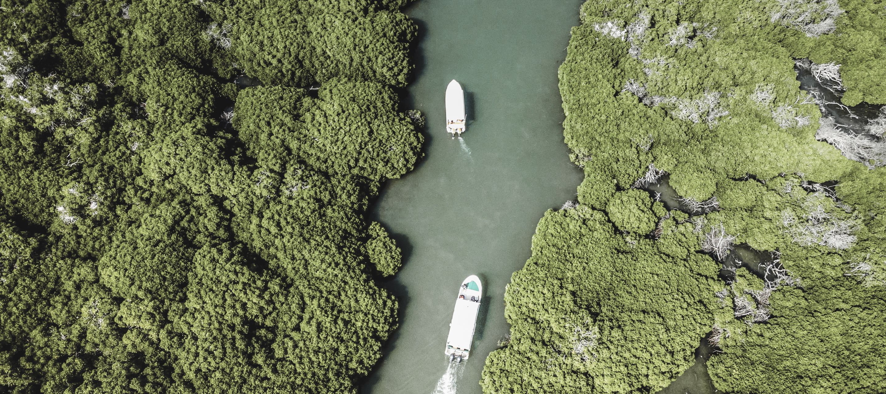 Atemberaubendes Inselparadies der fast unberührten Farasan-Inseln am Roten Meer
