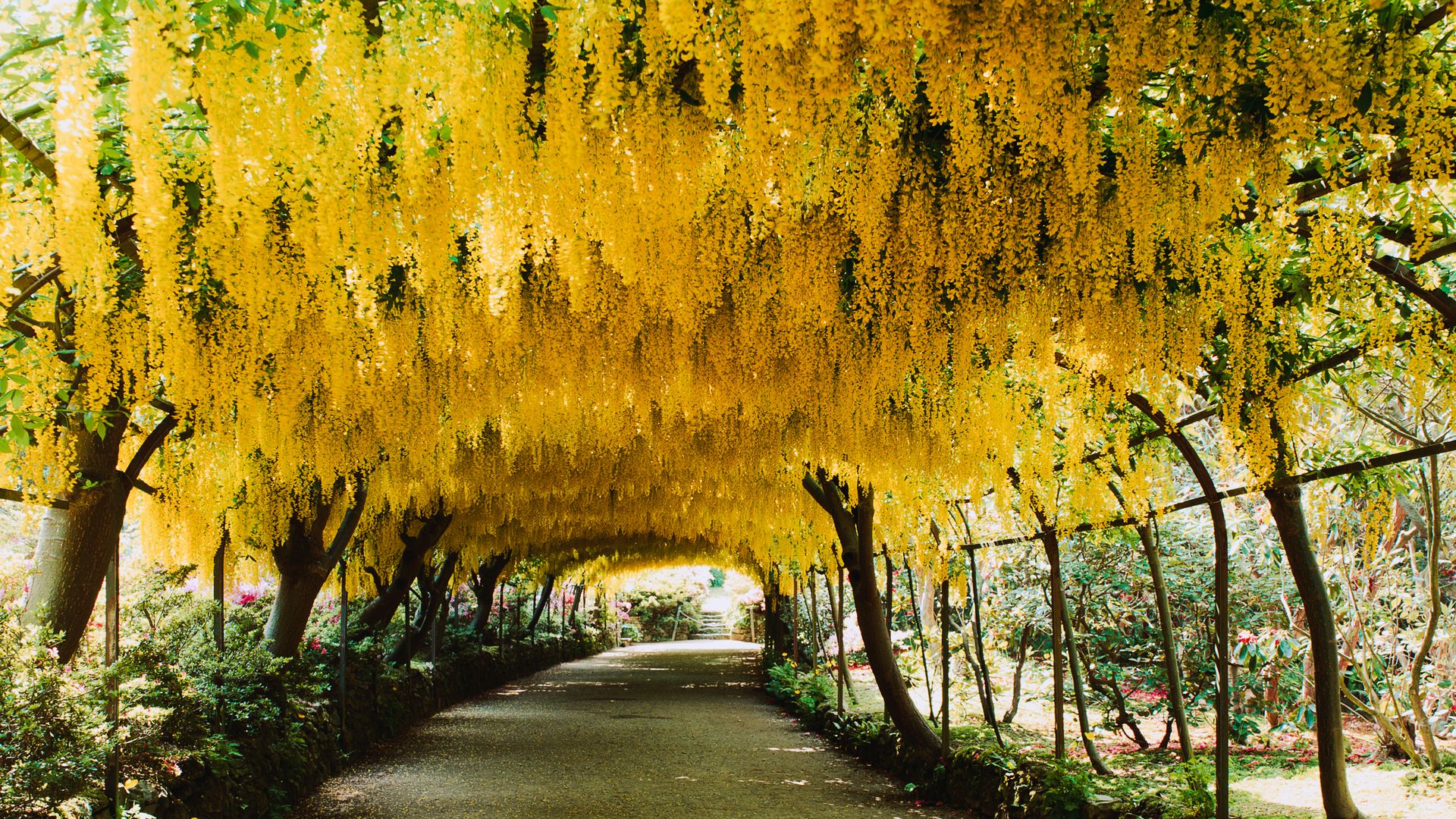 Malerische Gartenlandschaften
