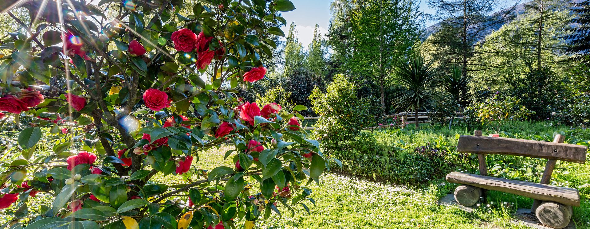 Kamelienpark Locarno / © Ascona-Locarno Tourism / Alessio Pizzicannella