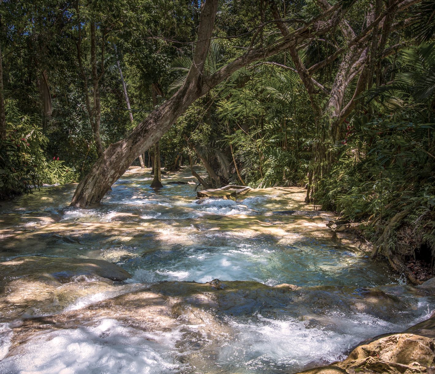   Die YS-Wasserfälle auf Jamaika laden zu einem erfrischenden Bad ein.
