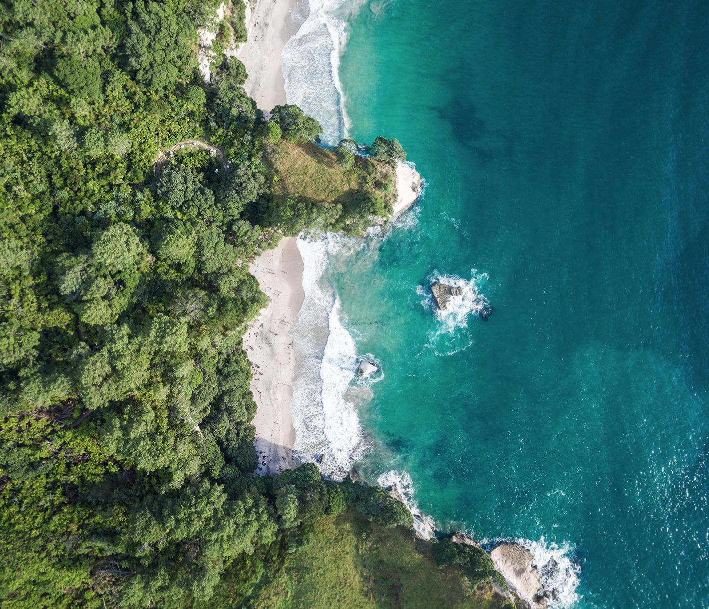 Vogelperspektive der Cathedral Cove