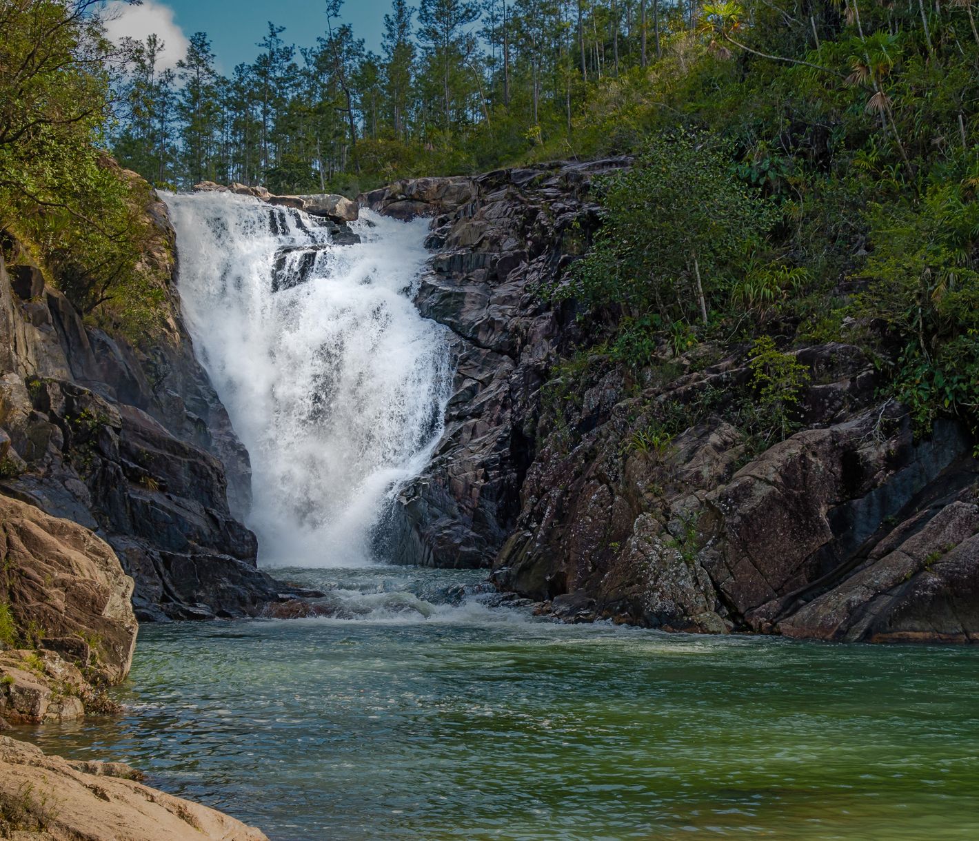 Das Mountain Pine Ridge Forest Reserve, eines der Naturjuwelen Belizes