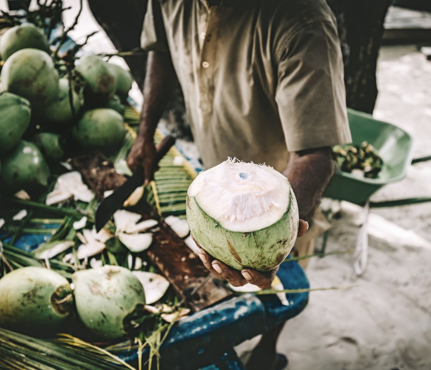 Frische Kokosnuss auf einer lokalen Insel