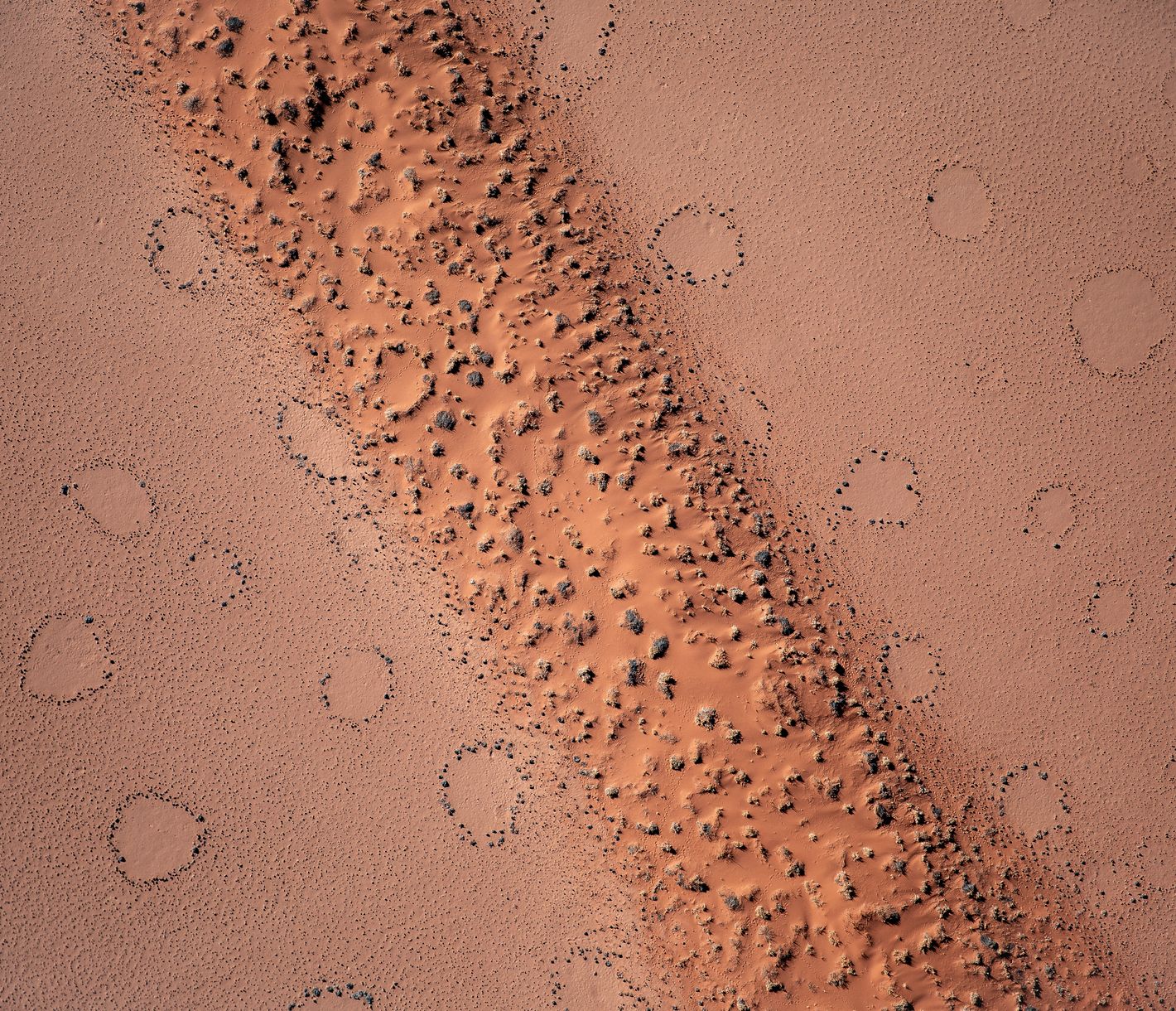 Feenkreise in der Umgebung des Sossusvlei