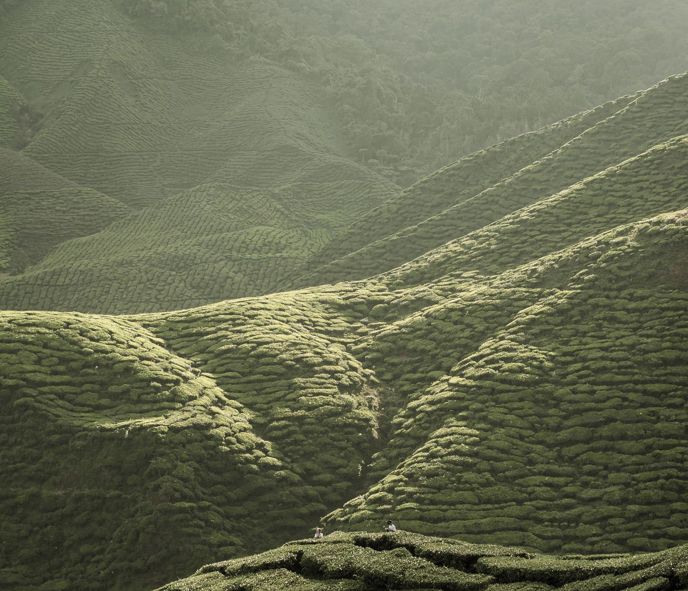 Frische Bergluft und gemässigte Temperaturen