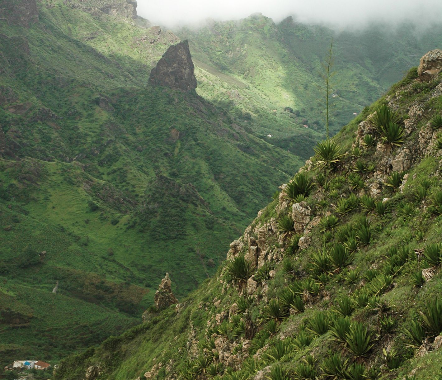 Unberührtes grünes Wanderparadies São Nicolau