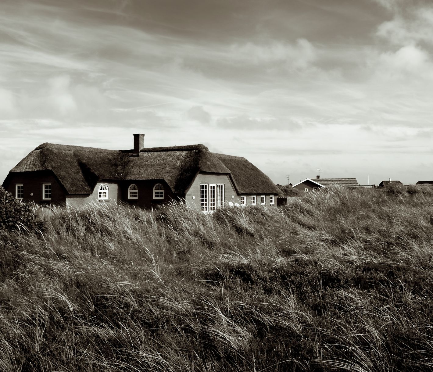 Die Reetdachhäuser Dänemarks