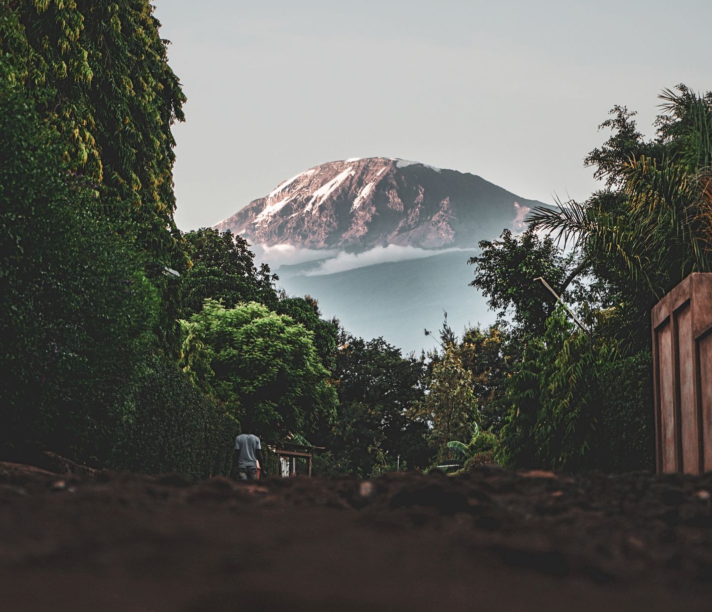 Mit dem Ziel vor Augen wächst die Sehnsucht: Kilimandscharo von Moshi aus.