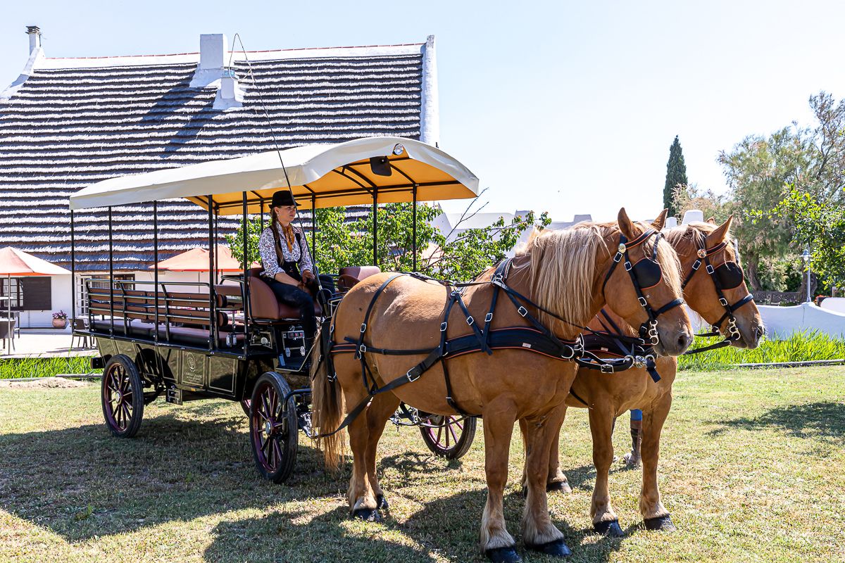 Chevaux