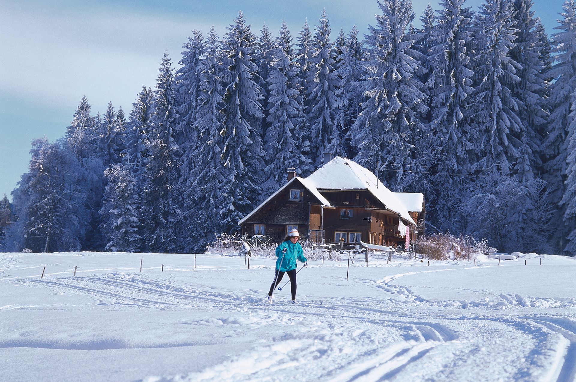 Langlaufen im Schwarzwald
