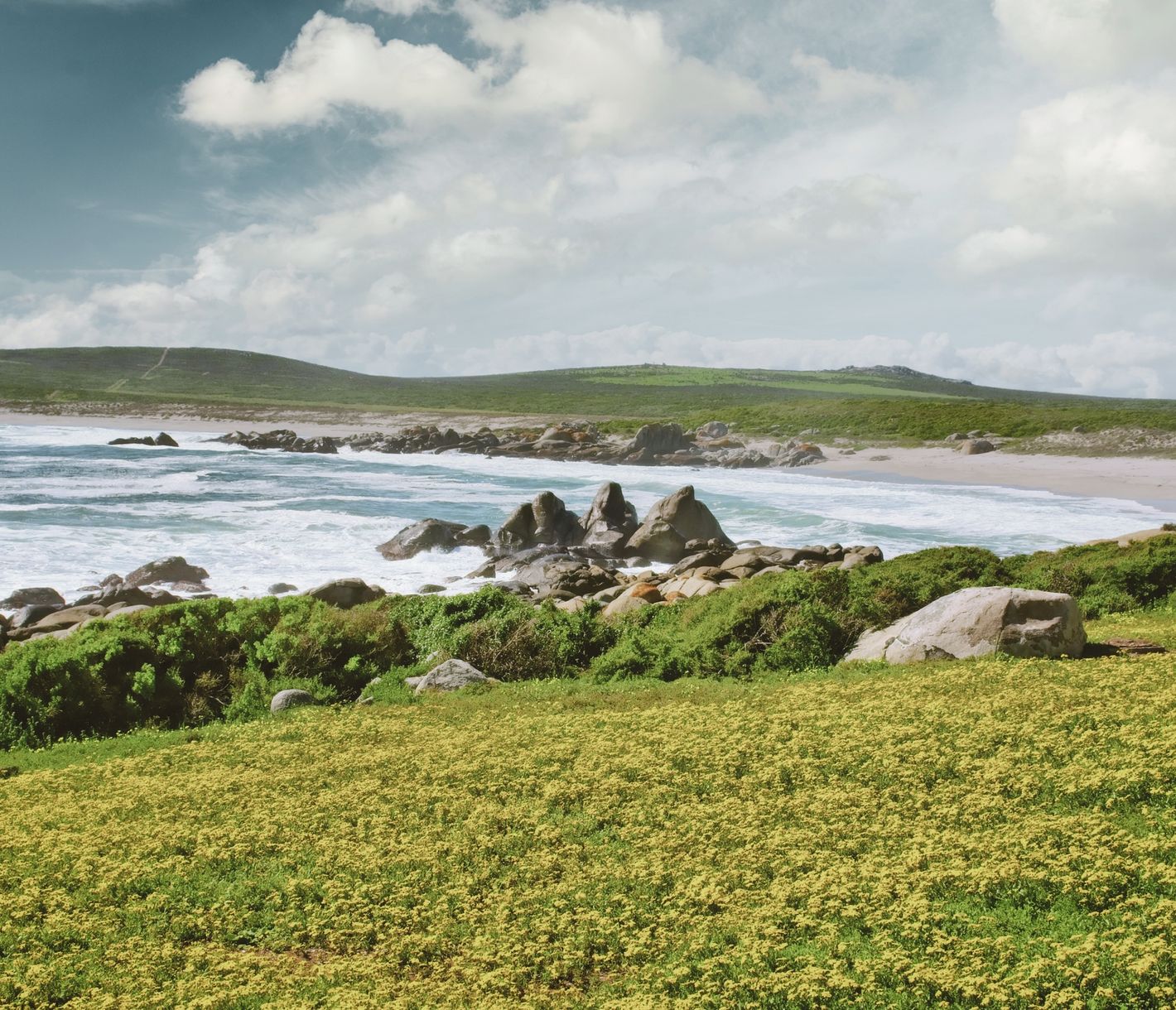 Le Parc National West Coast, un joyau méconnu à seulement 2h30 de route du Cap