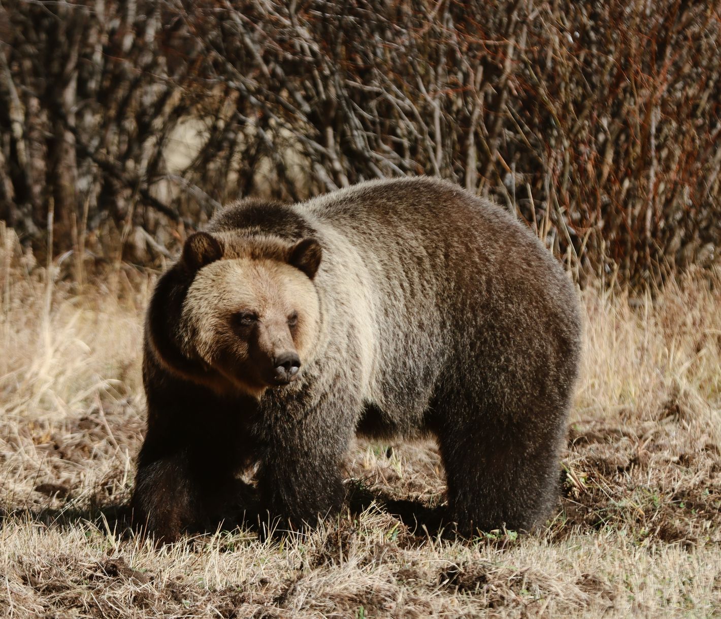 In dieser Gegen fühlen sich nicht nur Menschen wohl