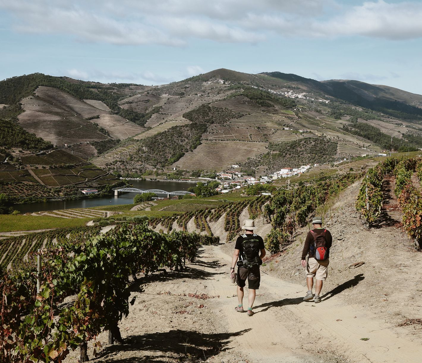 Wandern durch die Weinberge des Douro-Tals