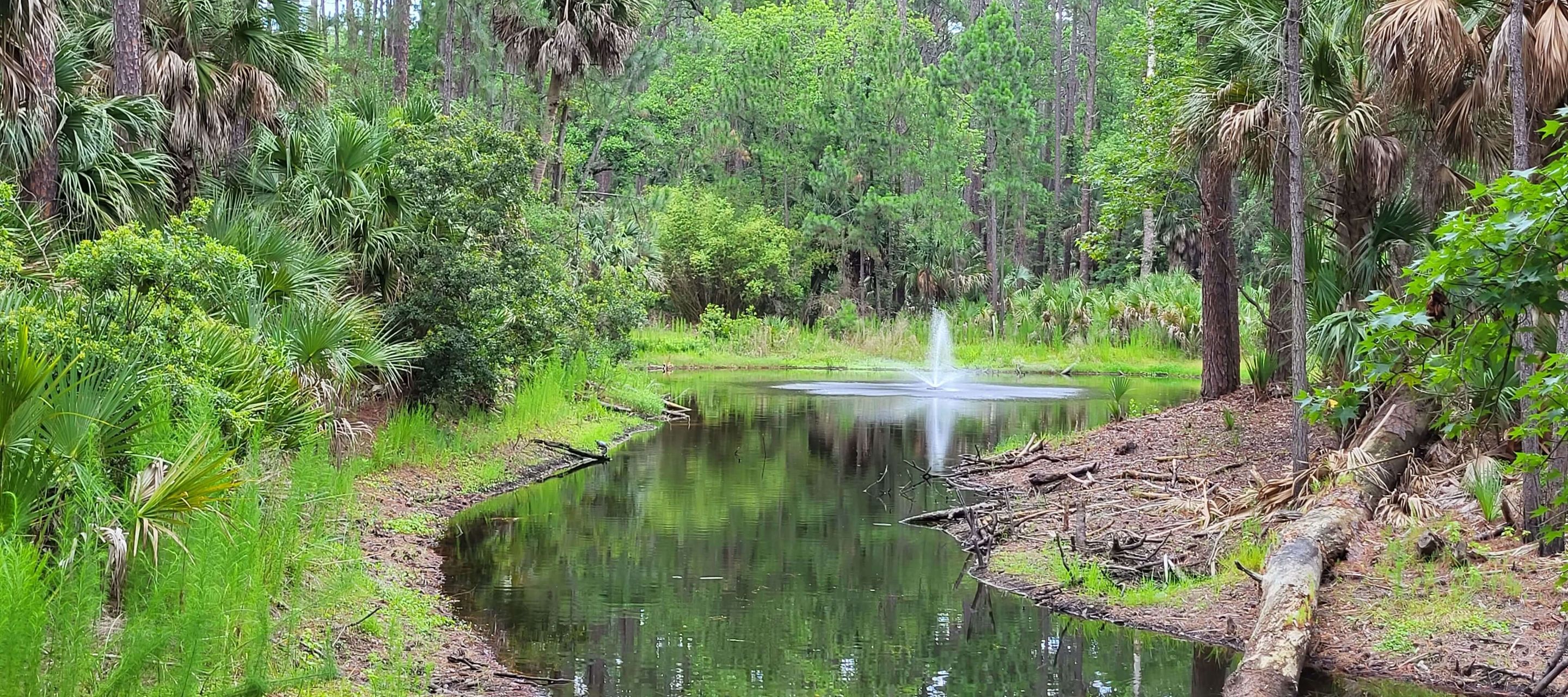Hunting Island State Park