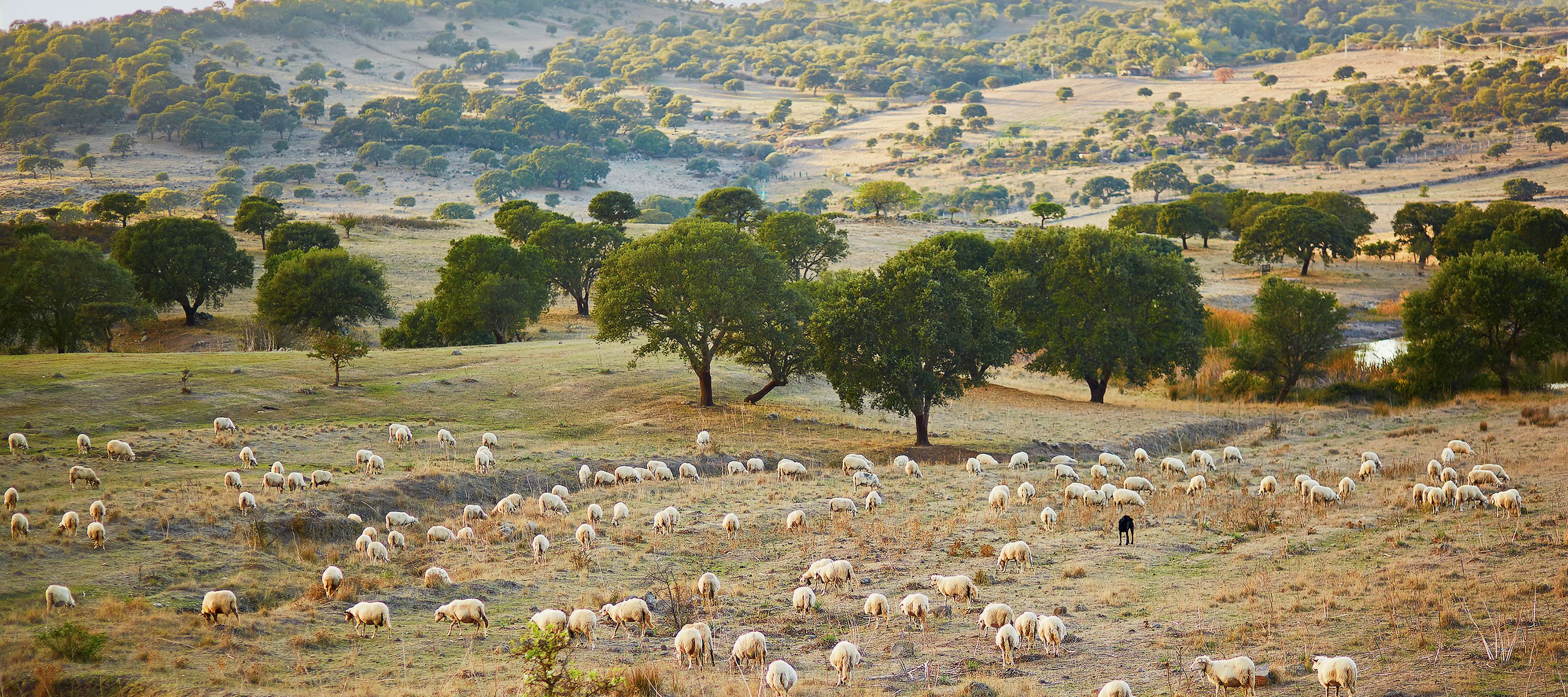 Sardinien wie auf der Postkarte