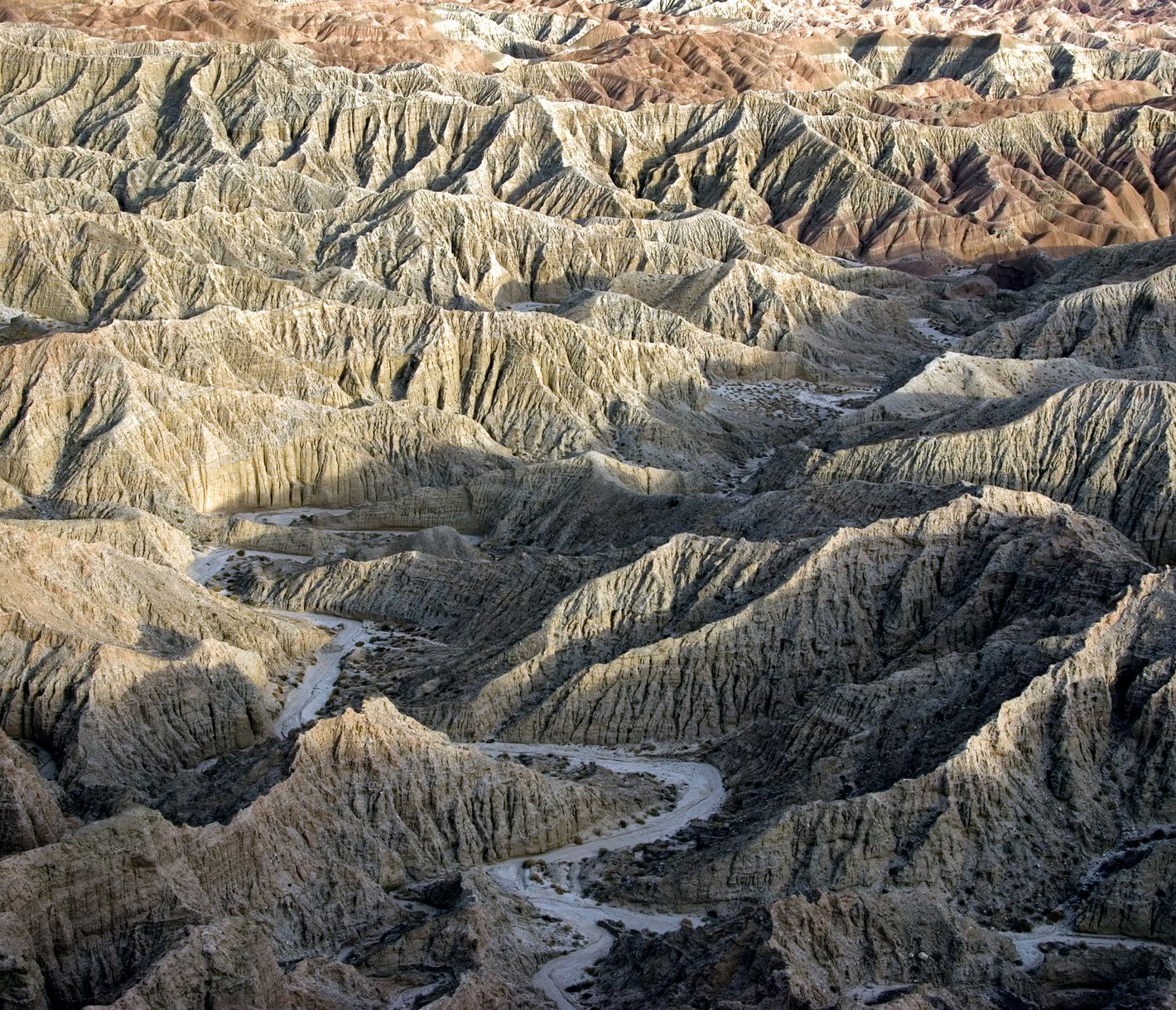 Der Anza-Borrego State Park ist für seine Wildblumen und dramatischen Badlands bekannt.