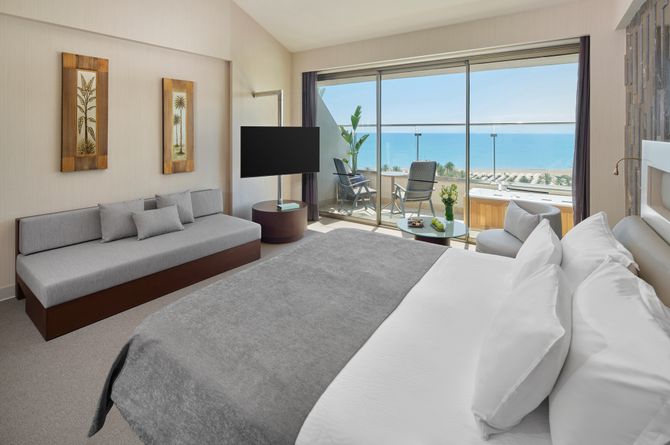 Suite familiale Roof