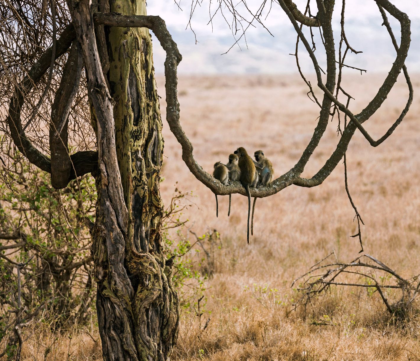 Schönheits-Behandlung im Kreise der Familie mit Aussicht