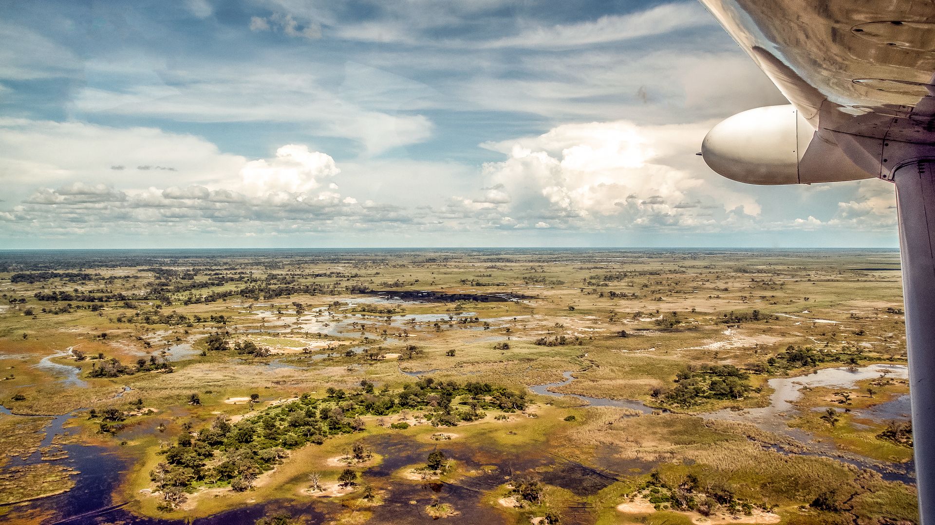 La magie d’un survol au-dessus du delta de l'Okavango