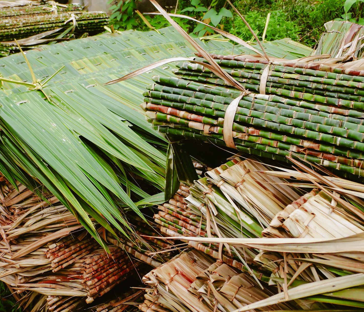 Einblicke ins traditionelle Handwerk: nachhaltige Baukunst mit lokalen Materialien auf Bohol