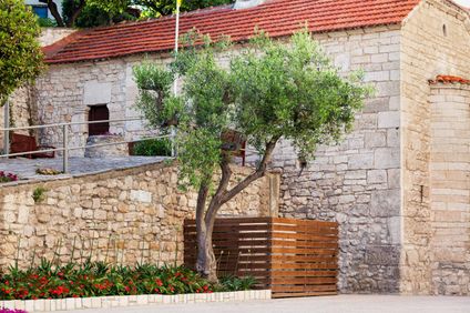 20. Bild der Unterkunft