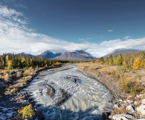 Le parc de Kluane permet de découvrir la rivière Quill Creek.