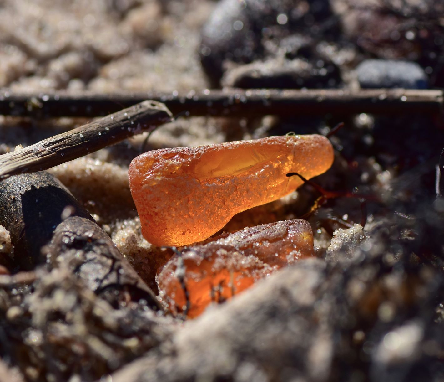 Das versteinerte Harz aus der Ostsee