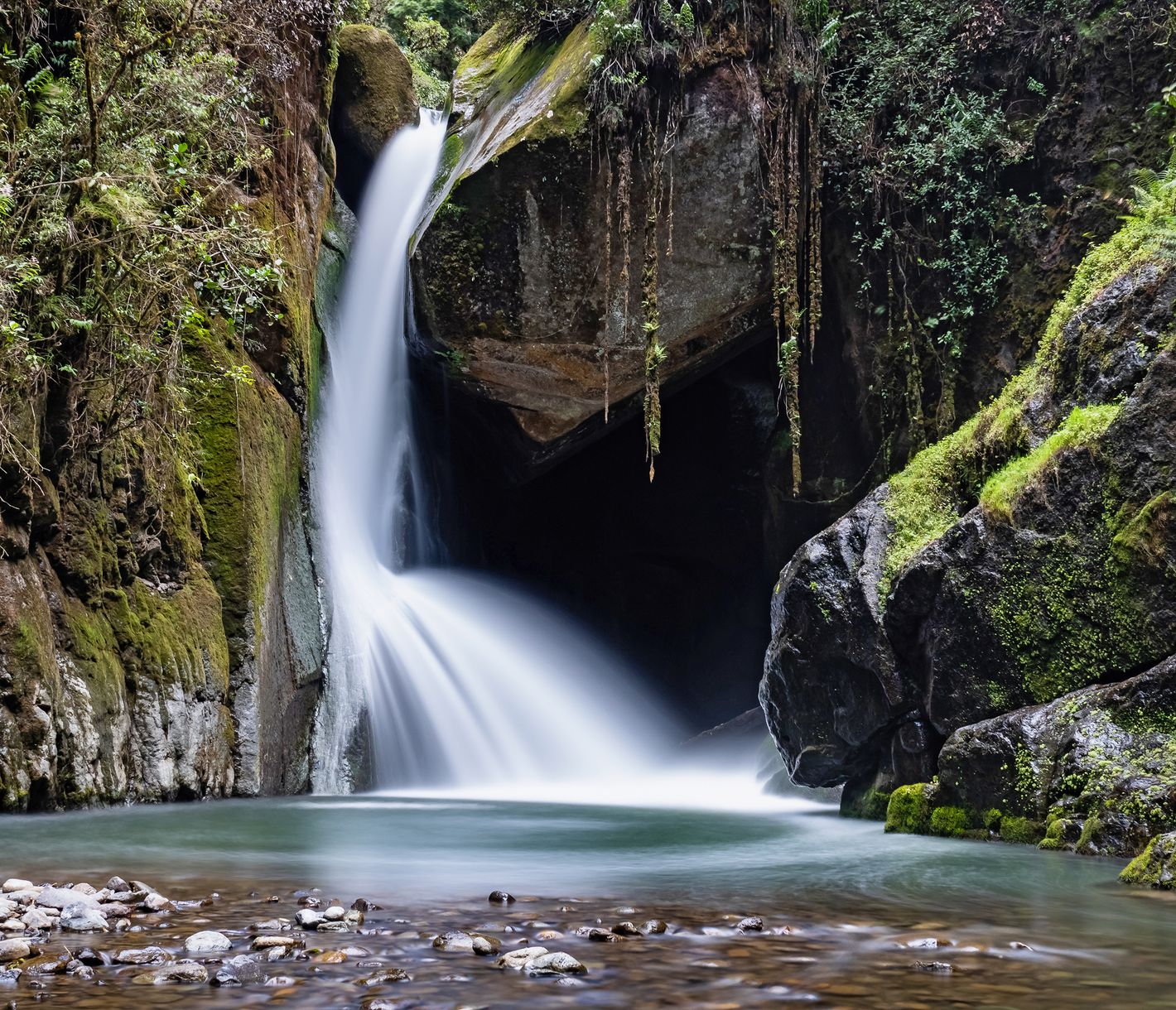 San Gerado de Dota, un sanctuaire au biotope tout à fait particulier