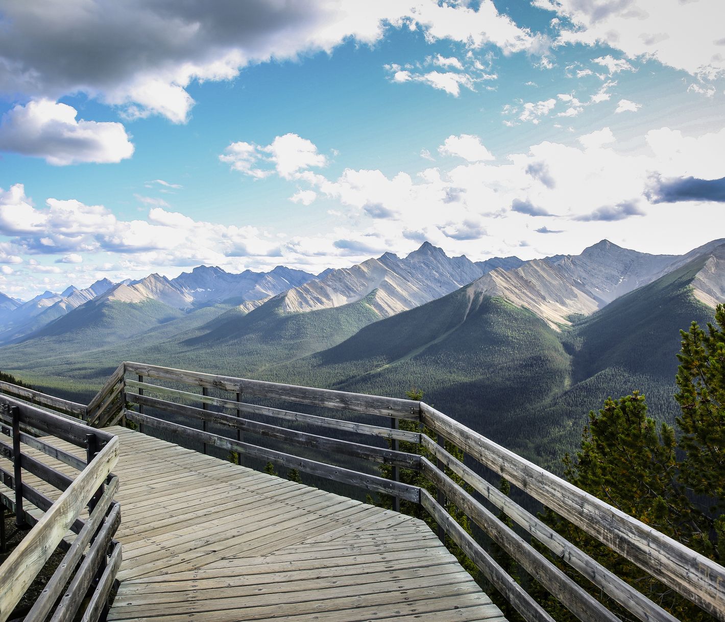 Aussicht vom Sulphur Mountain
