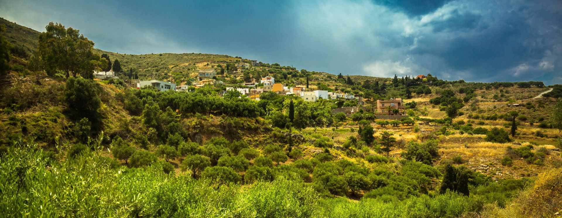 Olivenfelder bei Skotino Gouves